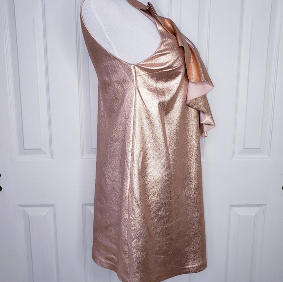 Zara Trafaluc Collection Ruffle Mini Dress Small ROSE GOLD Color - Picture 2 of 7